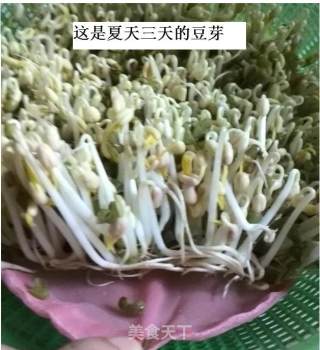 自发绿豆芽的做法步骤：5