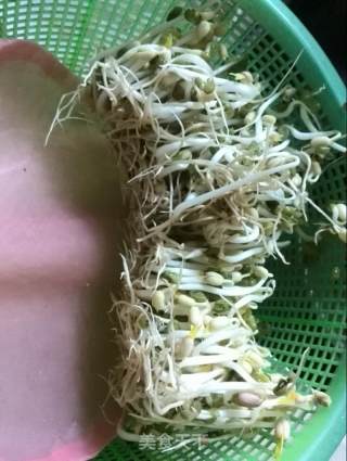 自发绿豆芽的做法步骤：7
