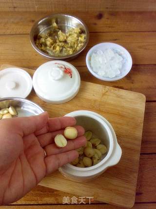 莲子菊花炖冰糖的做法步骤：2