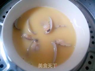 蛤蜊蒸蛋的做法步骤：5