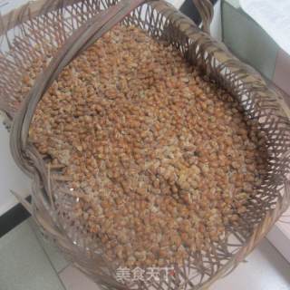 自制纳豆的做法步骤：3