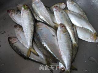 茄汁海鲫鱼的做法步骤：1
