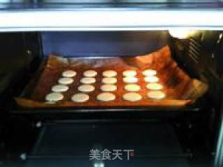 原味马卡龙的做法步骤：15
