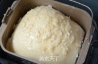 炎炎夏日新手必备做面包技巧--一键式葡萄干土司的做法步骤：6