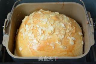 炎炎夏日新手必备做面包技巧--一键式葡萄干土司的做法步骤：7