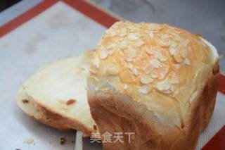 炎炎夏日新手必备做面包技巧--一键式葡萄干土司的做法步骤：8