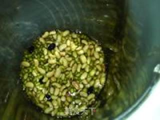 玫瑰绿豆豆浆的做法步骤：4