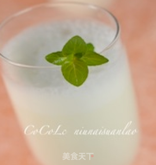 牛奶酸酪的做法步骤：5