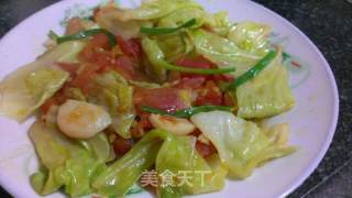 西红柿沙卷心菜的做法步骤：8