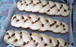 奶酥葡萄干面包的做法步骤：7
