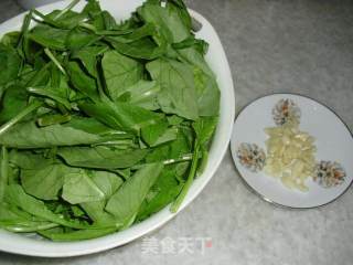 清炒萝卜菜缨的做法步骤：1