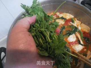 韩式大酱汤的做法步骤：16