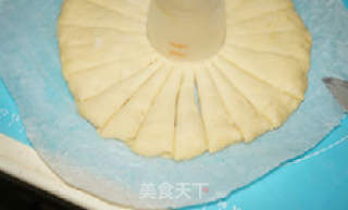 肉松花盘面包的做法步骤：13