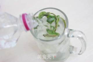 【番茄配方】Mojito-莫吉托 —— 晶莹剔透的别致鸡尾酒的做法步骤：5