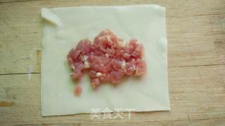 饺子皮小春卷的做法步骤：13