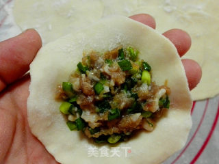 韭菜猪肉饺子的做法步骤：9