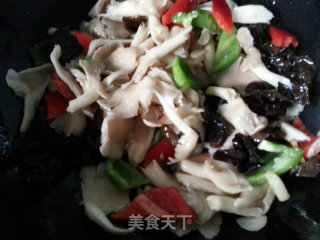 鲜蘑小炒肉的做法步骤：5