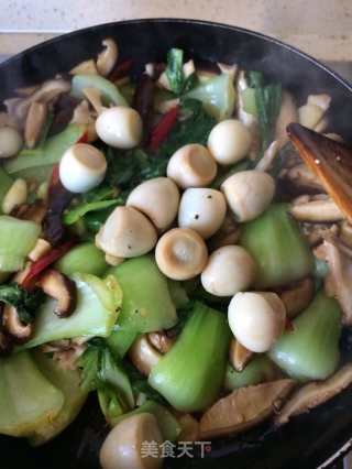 香菇油菜汇鹌鹑的做法步骤：8