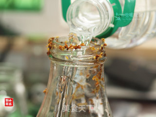 桂花酒：一见倾心的中秋家酿美酒的做法步骤：8