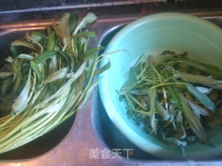 蒜香空心菜的做法步骤：1