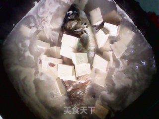 鲫鱼豆腐汤的做法步骤：5