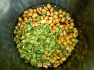 南瓜子熟豆豆浆的做法步骤：4
