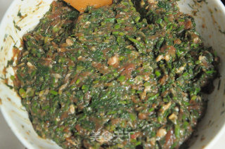 给山区孩子包的饺子--茴香馅的做法步骤：7