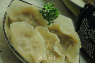 给山区孩子包的饺子--茴香馅的做法步骤：16