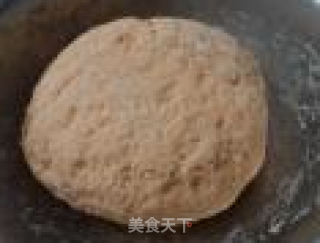 圆白菜饺子的做法步骤：3