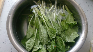 素炒毛白菜的做法步骤：1