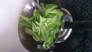 素炒毛白菜的做法步骤：6