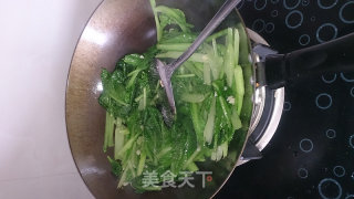素炒毛白菜的做法步骤：7
