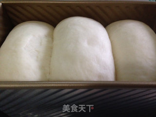 阿米什白吐司的做法步骤：8