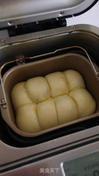 酸奶提子干小面包的做法步骤：13