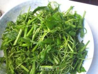 蒜香丝瓜苗头的做法步骤：3
