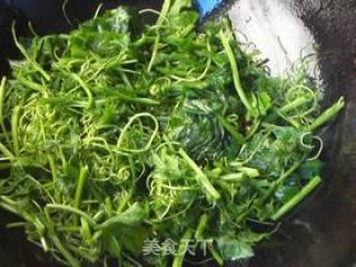 蒜香丝瓜苗头的做法步骤：6