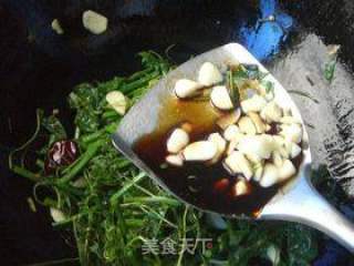 蒜香丝瓜苗头的做法步骤：8
