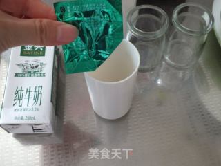 蔓越莓酸奶的做法步骤：2