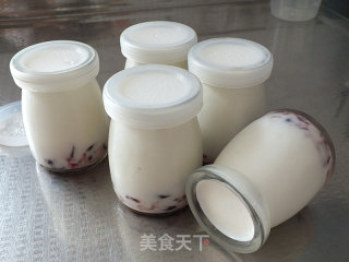 蔓越莓酸奶的做法步骤：9