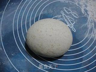 家常面食-----【全麦馒头】的做法步骤：5
