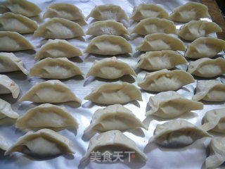 白菜猪肉馅饺子的做法步骤：12