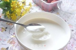 纯天然酸奶的做法步骤：5