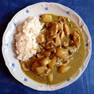 泰式鸡肉土豆绿咖喱的做法步骤：6