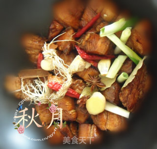 炖肉的做法步骤：8