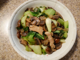 青菜蘑菇炒肉片的做法步骤：5