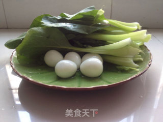 丸子青菜杂烩汤黑胡椒口味超鲜的做法步骤：6