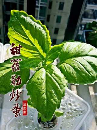 甜罗勒煎蛋的做法步骤：1