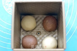 【番茄配方】棋格吐司——小巧可爱，造型讨巧诱人的做法步骤：5