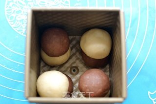 【番茄配方】棋格吐司——小巧可爱，造型讨巧诱人的做法步骤：6