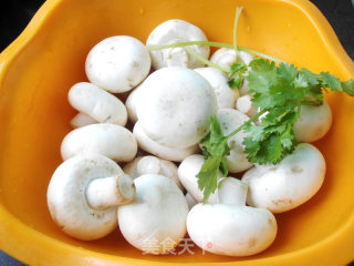 油煎蘑菇的做法步骤：1